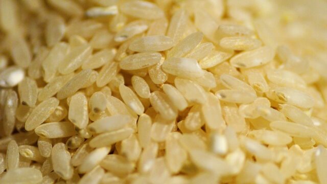 お米とは？なぜ日本人の主食に？種類はあるの？パンより経済的？
